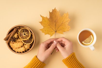 Biscotti alla cannella