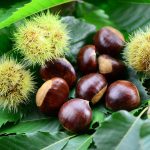 Castagne in friggitrice ad aria