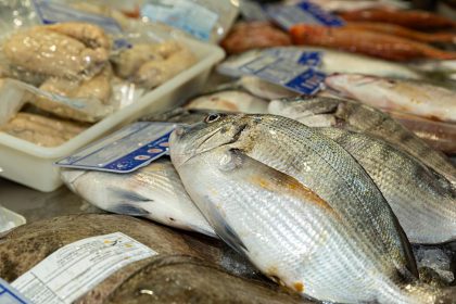 Filetti di orata al forno