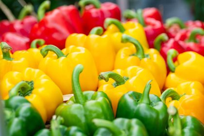 Peperoni ripieni senza carne