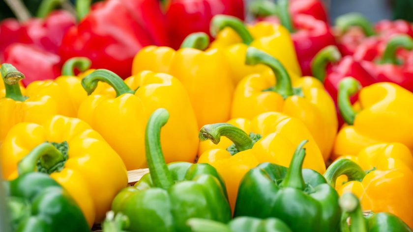 Peperoni ripieni senza carne
