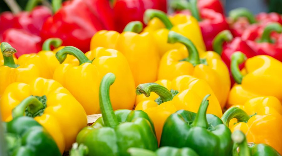 Peperoni ripieni senza carne