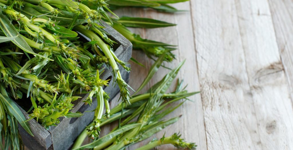 Puntarelle alla romana