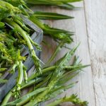 Puntarelle alla romana