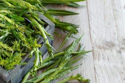 Puntarelle alla romana
