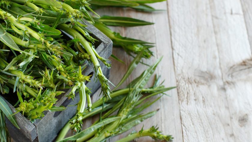 Puntarelle alla romana