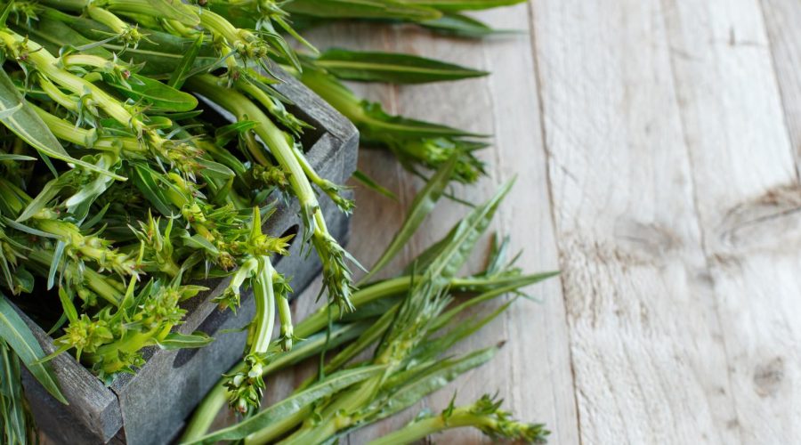 Puntarelle alla romana