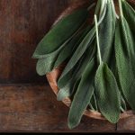 Salvia fritta