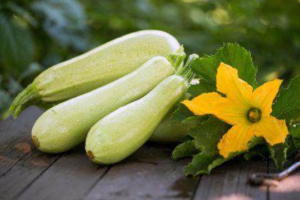 Tortino di zucchine