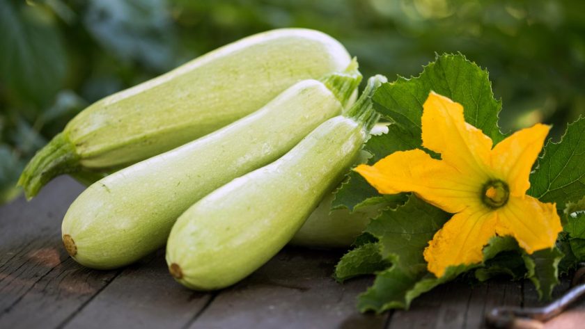 Tortino di zucchine