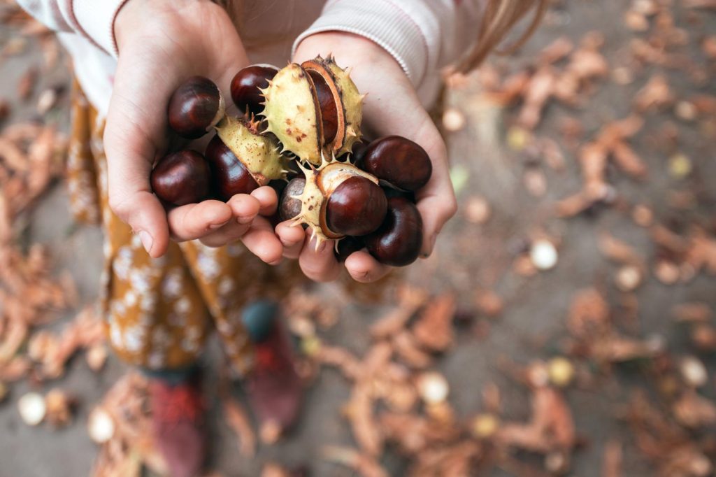 Castagne al rum