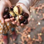 Castagne al rum