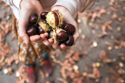 Castagne al rum