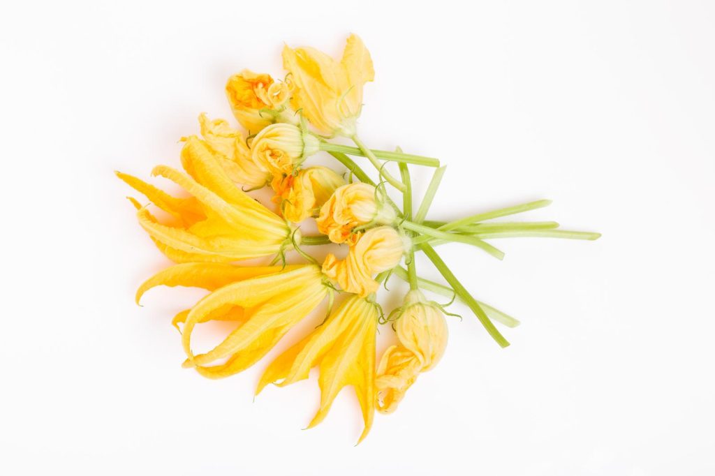 Fiori di zucca in padella