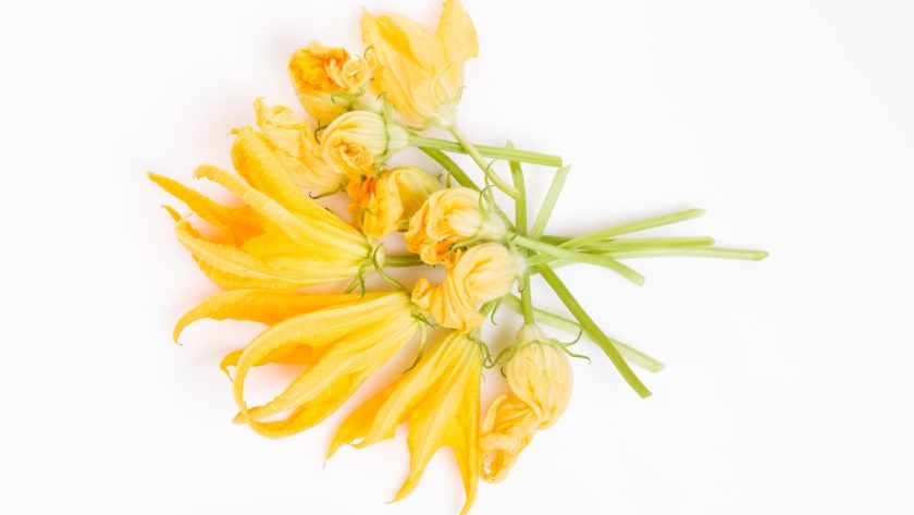 Fiori di zucca in padella