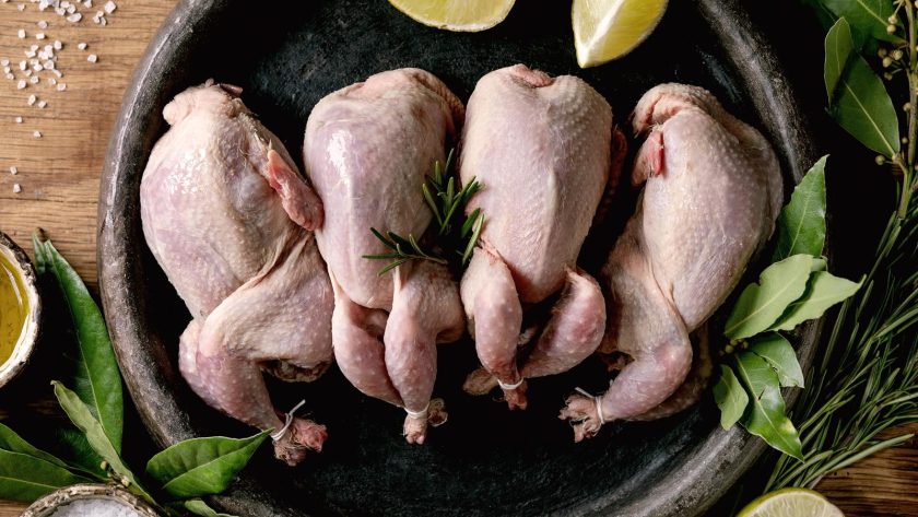 Pollo al sale
