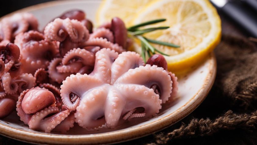 Polpo bollito