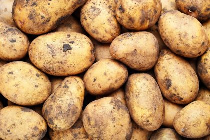 Vellutata di patate