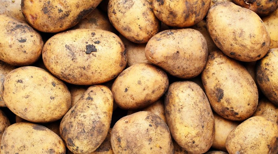 Vellutata di patate