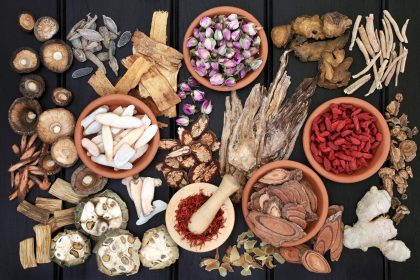 Dieta semiliquida