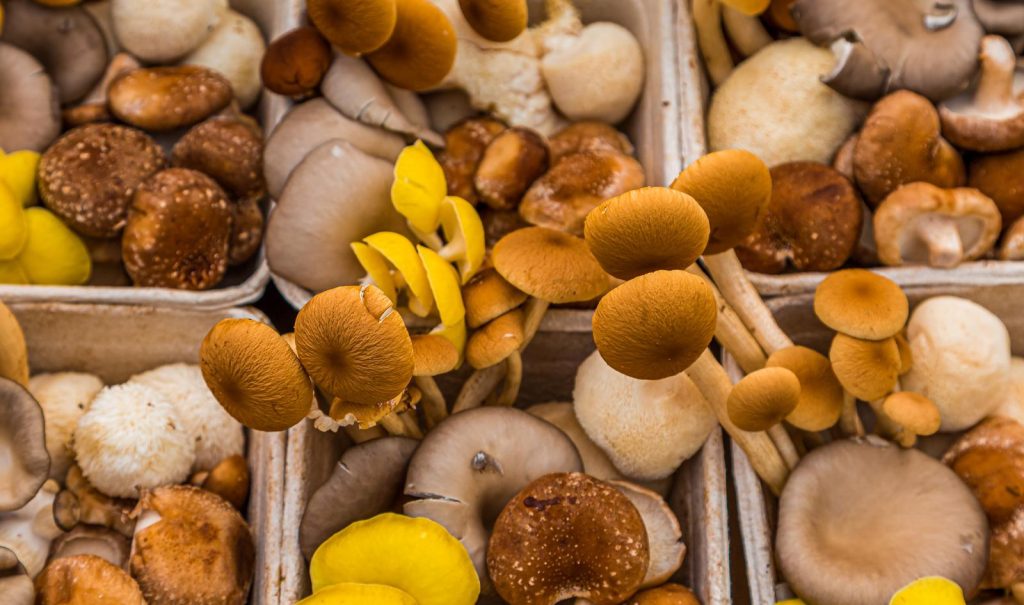 Valori nutrizionali funghi