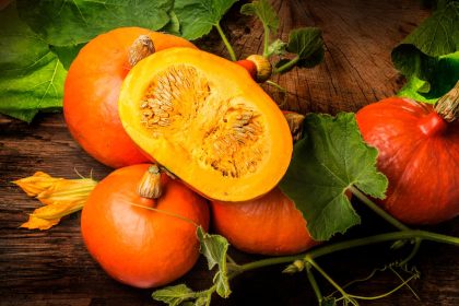 Valori nutrizionali zucca