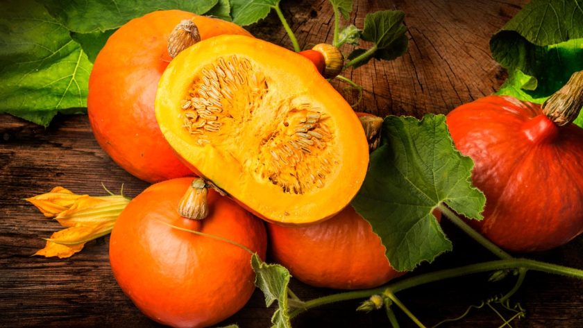 Valori nutrizionali zucca