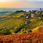 cucina delle langhe