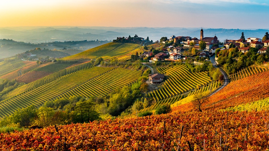 cucina delle langhe